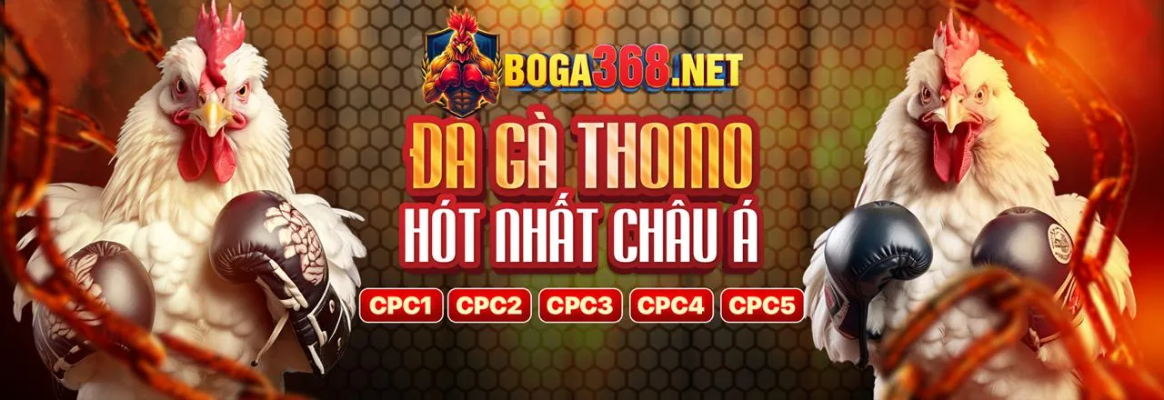 Sân đấu đá gà 69vin trực tuyến sôi động